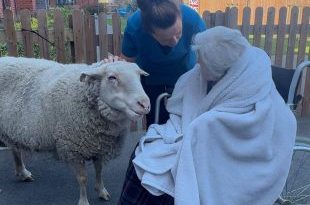 A Magical Easter Celebration at Richard House Care Home, Grantham